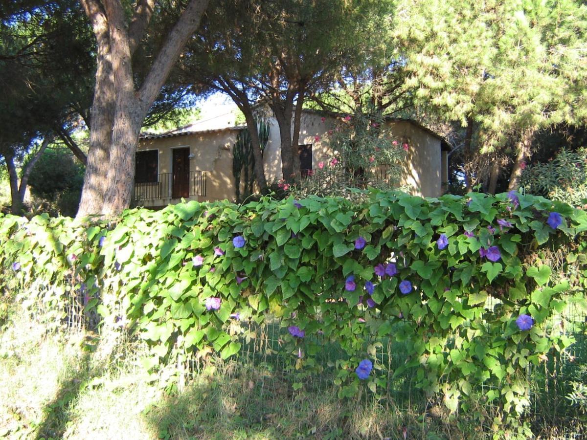 Baia Delle Palme Aparthotel Santa Margherita di Pula
