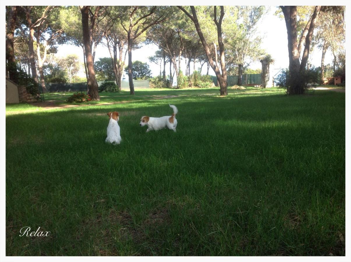 Baia Delle Palme 3* Pula